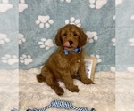 Image preview for Ad Listing. Nickname: Zane