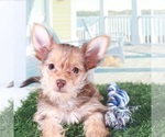 Image preview for Ad Listing. Nickname: Baron