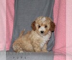 Image preview for Ad Listing. Nickname: Connor