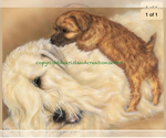 Small #11 Soft Coated Wheaten Terrier