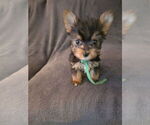 Image preview for Ad Listing. Nickname: Green girl
