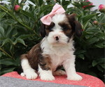 Image preview for Ad Listing. Nickname: Freya