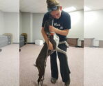 Small #9 Mountain Cur Mix