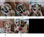 Image preview for Ad Listing. Nickname: Nathan
