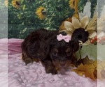 - Photo #2