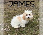 Image preview for Ad Listing. Nickname: James