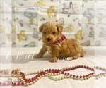 Image preview for Ad Listing. Nickname: Earl