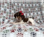 Image preview for Ad Listing. Nickname: Wynona