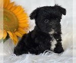 Image preview for Ad Listing. Nickname: LOGAN