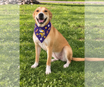 Small #3 Breeder Profile image