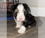 - Photo #2