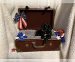 Image preview for Ad Listing. Nickname: Tessa
