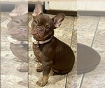 Image preview for Ad Listing. Nickname: Ande