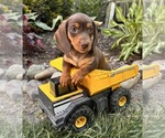 Image preview for Ad Listing. Nickname: Nick