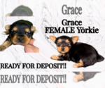 Image preview for Ad Listing. Nickname: Grace