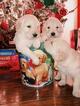 Small Photo #1 Golden Retriever Puppy For Sale in GARDEN CITY, CO, USA