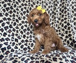 Image preview for Ad Listing. Nickname: Addison