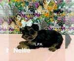 Image preview for Ad Listing. Nickname: Tiny Nellie