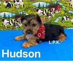 Image preview for Ad Listing. Nickname: Big Boy  Hudson