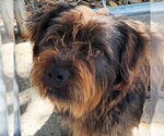 Small #3 Breeder Profile image