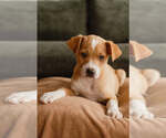 Small #3 Breeder Profile image