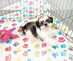 Image preview for Ad Listing. Nickname: Ella