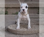 Image preview for Ad Listing. Nickname: Helen