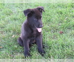 Image preview for Ad Listing. Nickname: black male