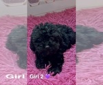 Image preview for Ad Listing. Nickname: Girl 2 Black
