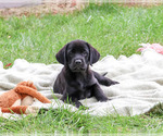 Image preview for Ad Listing. Nickname: Eloise