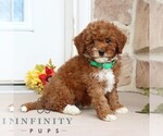 Image preview for Ad Listing. Nickname: Darlene