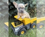 Image preview for Ad Listing. Nickname: Dewey