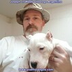 Small Photo #126 Dogo Argentino Puppy For Sale in PINEVILLE, MO, USA