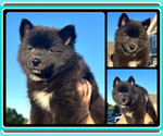 Image preview for Ad Listing. Nickname: Celtic