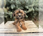 Image preview for Ad Listing. Nickname: Scottie