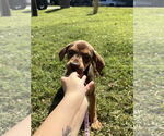 Small #2 Breeder Profile image