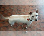 Small #3 Jack Chi