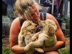 Small Photo #1 Golden Retriever Puppy For Sale in BELLEFONTE, PA, USA