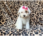 Image preview for Ad Listing. Nickname: Chloe
