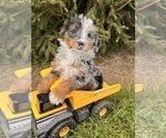 Image preview for Ad Listing. Nickname: Bentley
