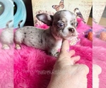 Image preview for Ad Listing. Nickname: LittleRolex