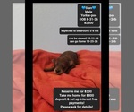 Image preview for Ad Listing. Nickname: Stan