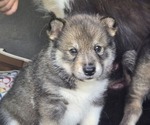 Image preview for Ad Listing. Nickname: Hemi