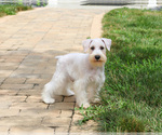 Image preview for Ad Listing. Nickname: Charles