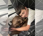 Small #11 Mastador