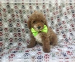 Image preview for Ad Listing. Nickname: Ridge