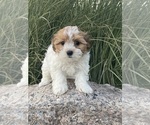 Image preview for Ad Listing. Nickname: Hailey