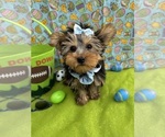 Image preview for Ad Listing. Nickname: PEANUT