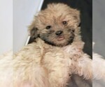 Image preview for Ad Listing. Nickname: Parker