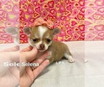 Image preview for Ad Listing. Nickname: Tiny Selena